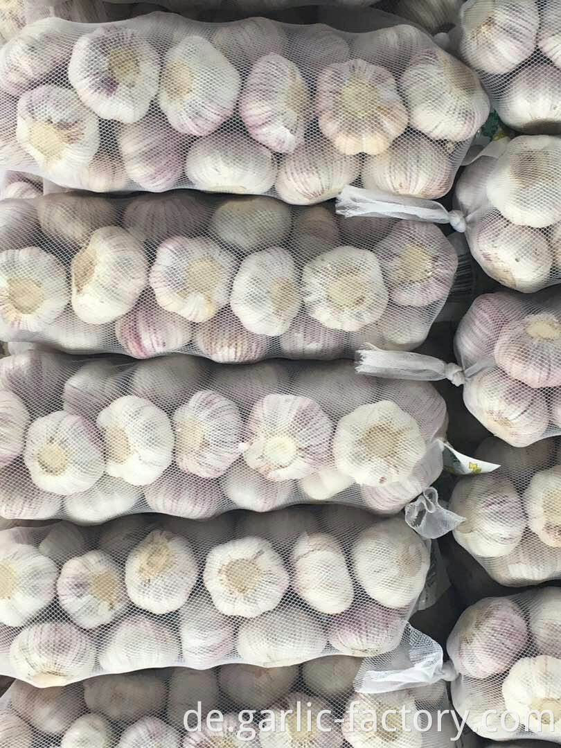 Small packing pure white Garlic